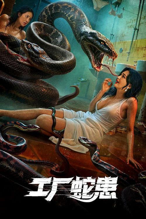 影片海报
